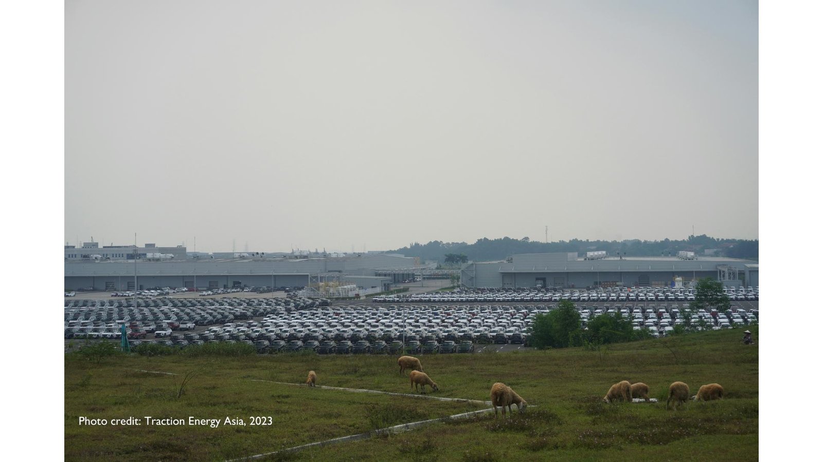 Mobil-mobil baru tersusun teratur di area belakang pabrik Hyundai di Kabupaten Bekasi yang bersinggungan dengan area Desa Sukamukti
